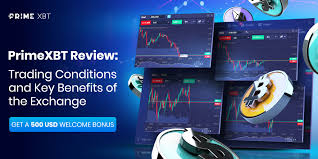 Understanding the Dynamics of PrimeXBT Forex Trading Understanding the Dynamics of PrimeXBT Forex Trading