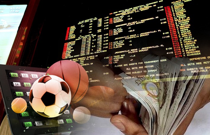 Discover The Exciting World Of Safi Bet 1 1.jpg