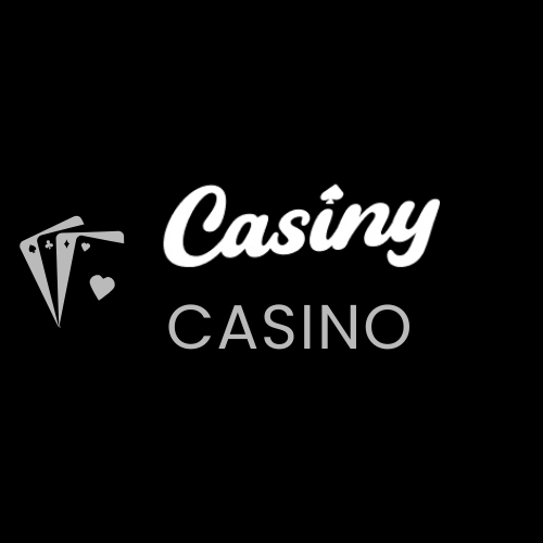 The Future of Online Gaming Casiny Payment Solutions for an Enhanced Experience